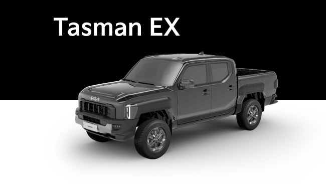 Tasman EX