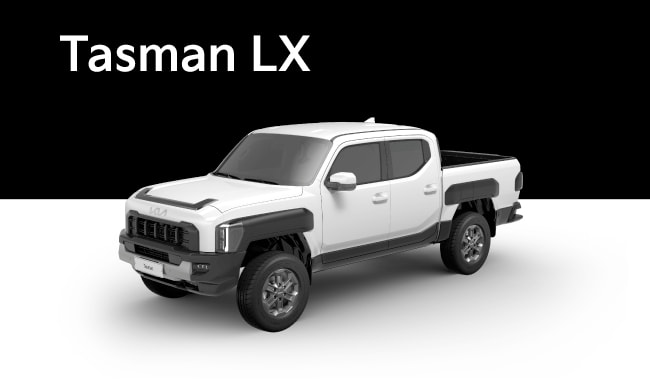 Tasman LX